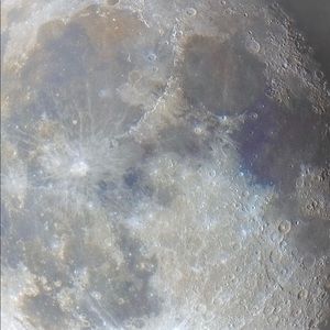 Meet your Posher, Caitlin